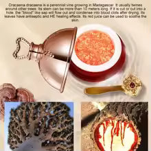 Dragon's blood face cream